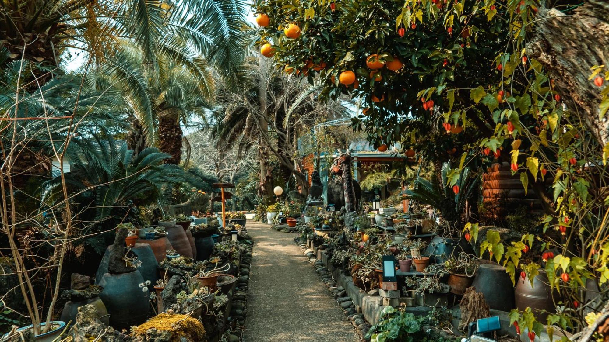 סאוגוויפו Valley Village מראה חיצוני תמונה