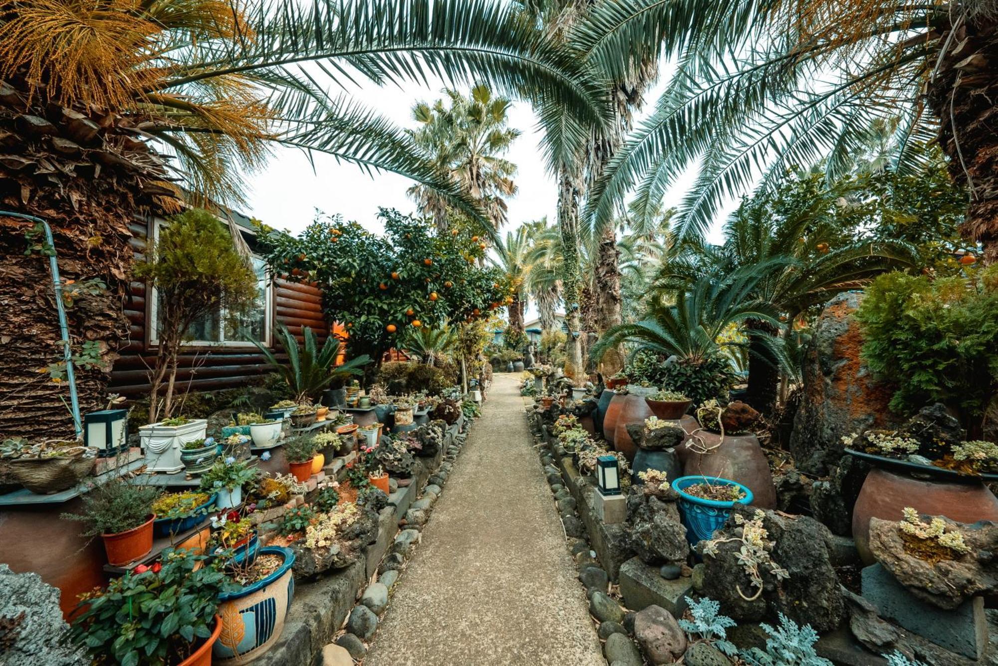 סאוגוויפו Valley Village מראה חיצוני תמונה